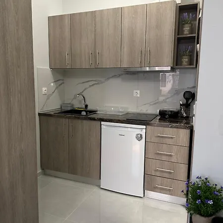 דירה Anastasia Luxury ניאה מודאניה